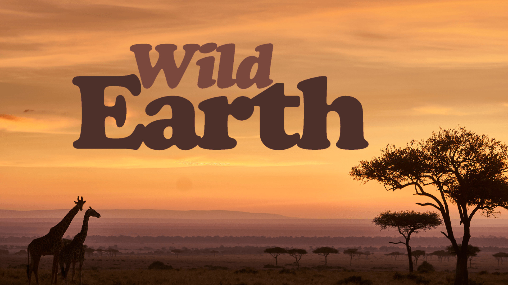 Wild Earth